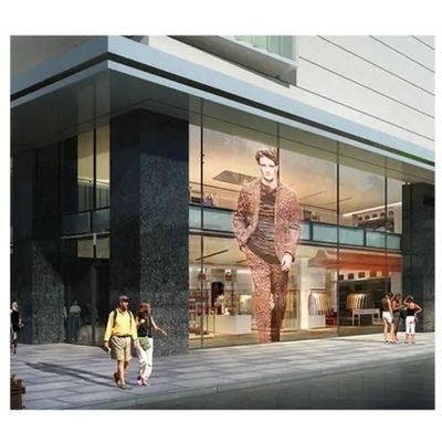 Full Color Flexible Transparent Led Screen Advertisement Led Display Custom Size